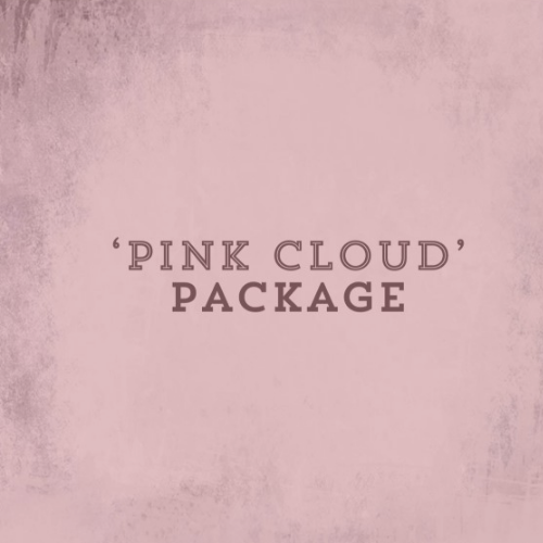 Pink Cloud healing from an ex- Package